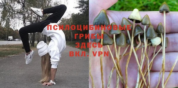 таблы Абинск