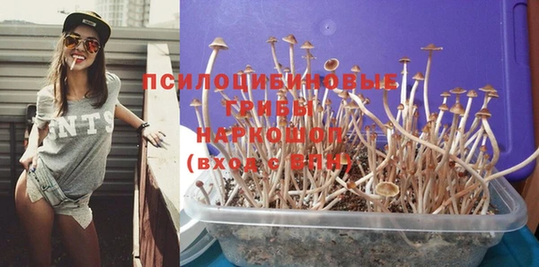 бошки Алзамай