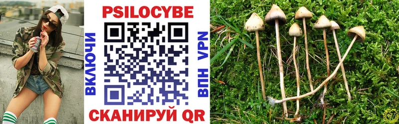 MEGA онион Кохма Галлюциногенные грибы Psilocybine cubensis